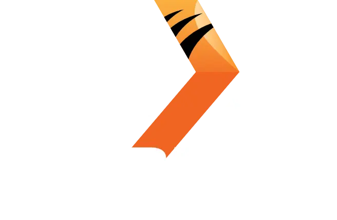 Next Spin Logo